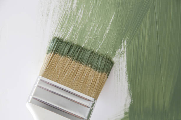  Hebron, KY Mold Removal Pros