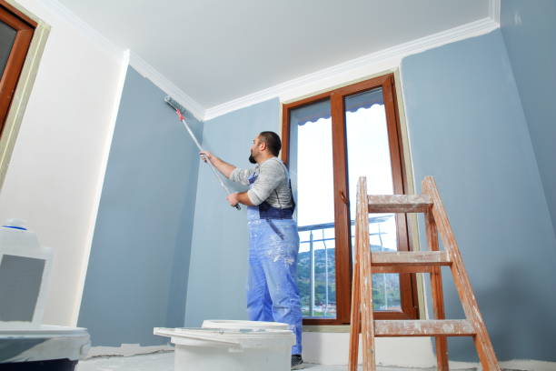 Best Asbestos and Lead Testing During Mold Inspection  in Hebron, KY
