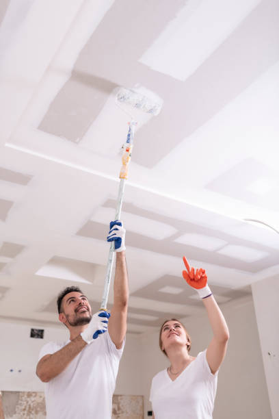 Best Environmental Consulting for Mold Prevention  in Hebron, KY