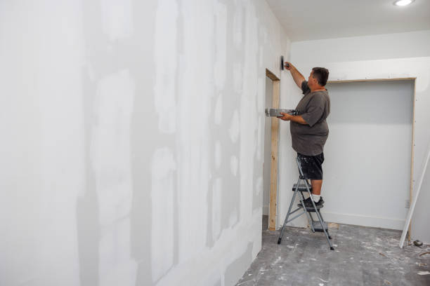 Best Basement Mold Removal  in Hebron, KY