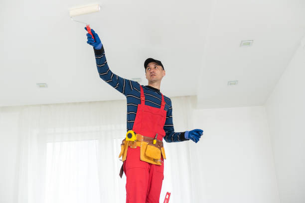 Best Mold Remediation for Vacation Homes  in Hebron, KY