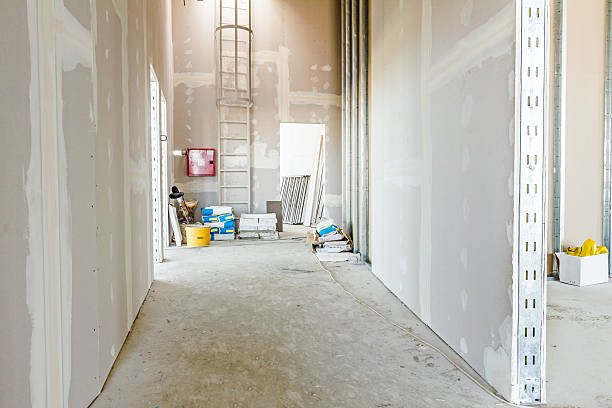 Best Mold Damage Restoration  in Hebron, KY